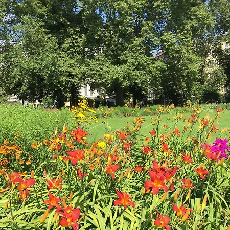 Apartament Ueber Den Daechern Von *
